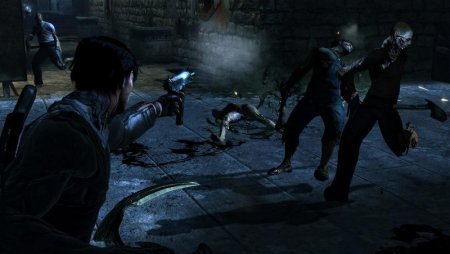 Dark Sector